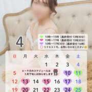 ヒメ日記 2026/03/13 08:57 投稿 桜井 シャトーペトラ