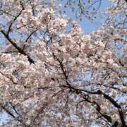 めぐ 出勤しました✨ ギン妻パラダイス 十三店