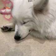 ヒメ日記 2025/02/28 18:02 投稿 みなみ プレイボーイ(八王子)