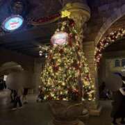 ヒメ日記 2025/11/18 13:53 投稿 みなみ プレイボーイ(八王子)