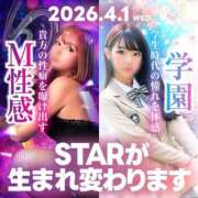 ヒメ日記 2026/03/31 14:25 投稿 しおり ファッションヘルス カリスマ