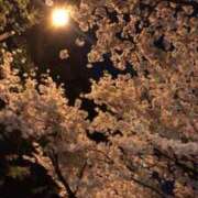 ヒメ日記 2025/04/23 20:55 投稿 あい♪ プリティーガール