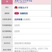ヒメ日記 2025/10/18 11:06 投稿 ゆきな【新人割引期間中】 クリスタル