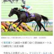 ヒメ日記 2025/10/26 18:46 投稿 ゆきな【新人割引期間中】 クリスタル