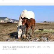 ヒメ日記 2026/03/26 15:46 投稿 ゆきな【新人割引期間中】 クリスタル