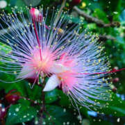 ヒメ日記 2024/12/19 09:30 投稿 海理 上野CLUB A(クラブ エー)