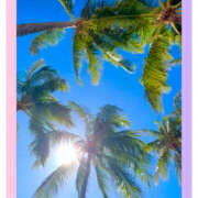 ヒメ日記 2025/01/23 09:31 投稿 海理 上野CLUB A(クラブ エー)