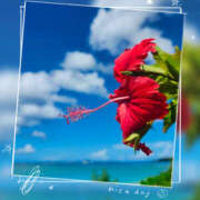 ヒメ日記 2025/01/30 07:40 投稿 海理 上野CLUB A(クラブ エー)