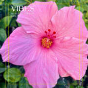 ヒメ日記 2025/03/07 10:10 投稿 海理 上野CLUB A(クラブ エー)