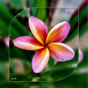 ヒメ日記 2025/03/14 09:20 投稿 海理 上野CLUB A(クラブ エー)