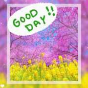 ヒメ日記 2025/03/21 11:31 投稿 海理 上野CLUB A(クラブ エー)