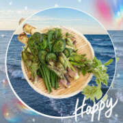 ヒメ日記 2025/04/10 08:50 投稿 海理 上野CLUB A(クラブ エー)