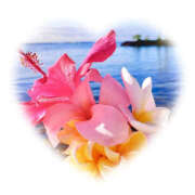 ヒメ日記 2025/04/15 08:10 投稿 海理 上野CLUB A(クラブ エー)