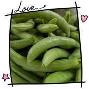 ヒメ日記 2025/05/23 05:10 投稿 海理 上野CLUB A(クラブ エー)