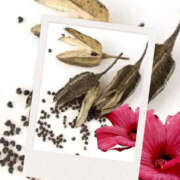 ヒメ日記 2025/05/30 06:20 投稿 海理 上野CLUB A(クラブ エー)