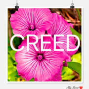 ヒメ日記 2025/05/31 09:30 投稿 海理 上野CLUB A(クラブ エー)