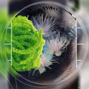 ヒメ日記 2025/06/02 07:10 投稿 海理 上野CLUB A(クラブ エー)