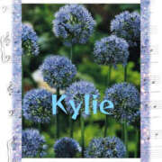 ヒメ日記 2025/06/04 05:10 投稿 海理 上野CLUB A(クラブ エー)