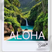 ヒメ日記 2025/06/26 08:00 投稿 海理 上野CLUB A(クラブ エー)