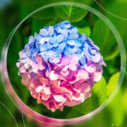 ヒメ日記 2025/06/28 07:50 投稿 海理 上野CLUB A(クラブ エー)