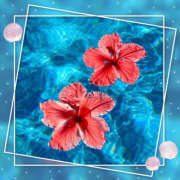 ヒメ日記 2025/08/25 12:50 投稿 海理 上野CLUB A(クラブ エー)