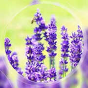 ヒメ日記 2025/10/23 20:10 投稿 海理 上野CLUB A(クラブ エー)