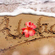 ヒメ日記 2026/03/20 18:40 投稿 海理 上野CLUB A(クラブ エー)