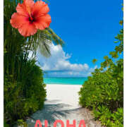 ヒメ日記 2026/03/30 13:00 投稿 海理 上野CLUB A(クラブ エー)