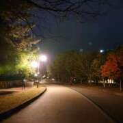 ヒメ日記 2024/12/16 08:31 投稿 えりか AVANCE福岡