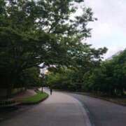 ヒメ日記 2025/06/16 08:30 投稿 えりか AVANCE福岡