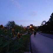 ヒメ日記 2025/08/22 08:30 投稿 えりか AVANCE福岡