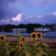 ヒメ日記 2025/09/01 07:31 投稿 えりか AVANCE福岡