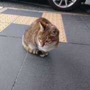 ヒメ日記 2025/12/14 13:49 投稿 えりか AVANCE福岡