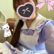 ヒメ日記 2025/03/15 12:20 投稿 ありす しゃんぜりぜ