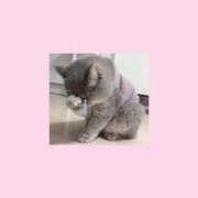 ヒメ日記 2025/06/06 16:24 投稿 まお 白いぽっちゃりさん