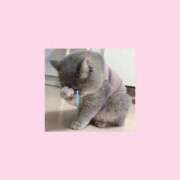 まお 🙏🏻 白いぽっちゃりさん