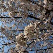 ヒメ日記 2025/04/04 21:00 投稿 せな エンブレイス　ダイヤモンド