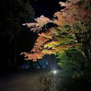 ヒメ日記 2025/11/23 08:01 投稿 せな エンブレイス　ダイヤモンド