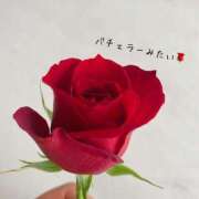 ヒメ日記 2025/02/03 08:43 投稿 あやな あとりえ(ATELIER)