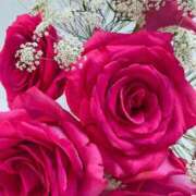 ヒメ日記 2025/03/08 05:45 投稿 あやな あとりえ(ATELIER)