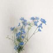 ヒメ日記 2025/06/28 06:18 投稿 あやな あとりえ(ATELIER)