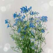 ヒメ日記 2025/07/21 06:43 投稿 あやな あとりえ(ATELIER)