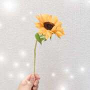 ヒメ日記 2025/07/24 17:19 投稿 あやな あとりえ(ATELIER)