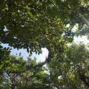 ヒメ日記 2025/09/11 05:51 投稿 あやな あとりえ(ATELIER)