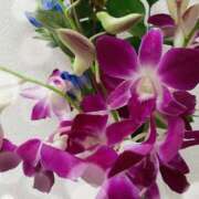 ヒメ日記 2025/10/10 06:49 投稿 あやな あとりえ(ATELIER)