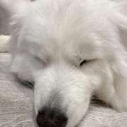 ヒメ日記 2025/12/13 07:44 投稿 あやな あとりえ(ATELIER)