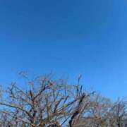 ヒメ日記 2025/12/26 06:50 投稿 あやな あとりえ(ATELIER)