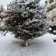 ヒメ日記 2026/02/09 06:23 投稿 あやな あとりえ(ATELIER)