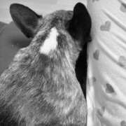 ヒメ日記 2026/03/02 06:34 投稿 あやな あとりえ(ATELIER)