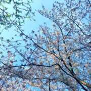 ヒメ日記 2026/04/06 07:20 投稿 あやな あとりえ(ATELIER)